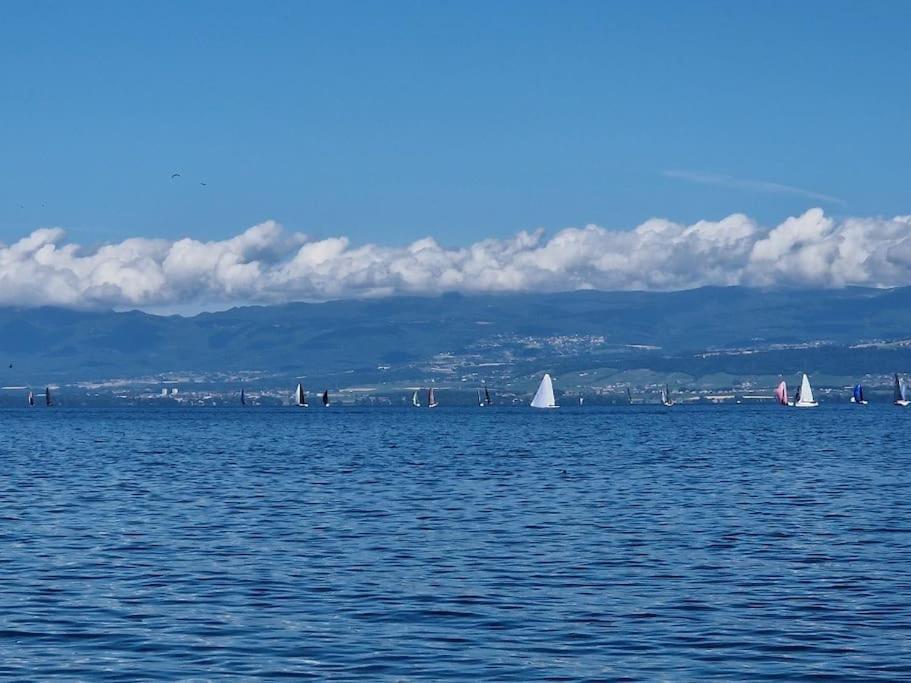 Les Mouettes Lejlighed Thonon-les-Bains Eksteriør billede